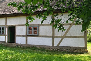 intro1